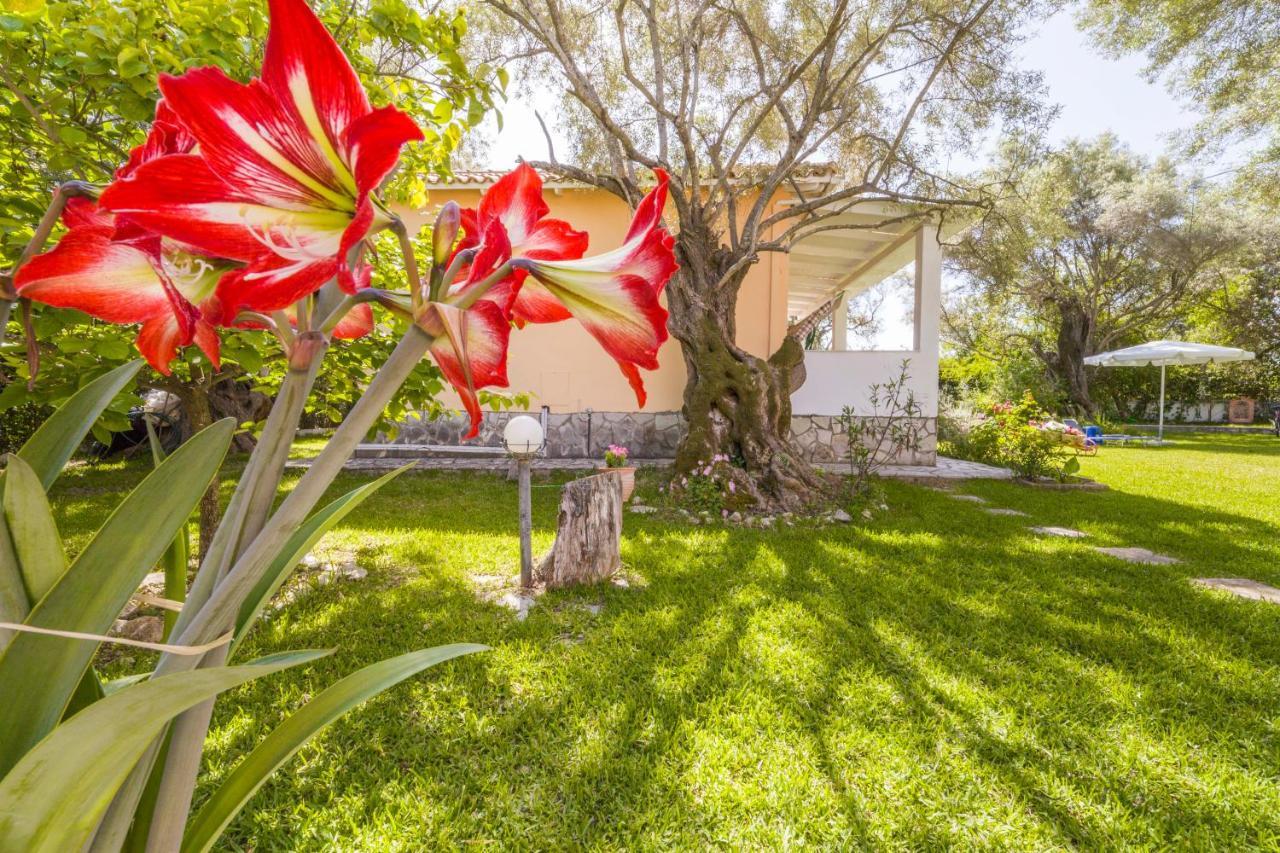 Villa Hector Lefkáda Exterior foto
